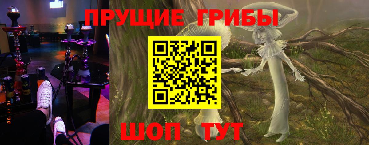 Галлюциногенные грибы Psilocybine cubensis Алапаевск